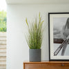 Potted grass on a wooden bureau with a framed picture in the background.