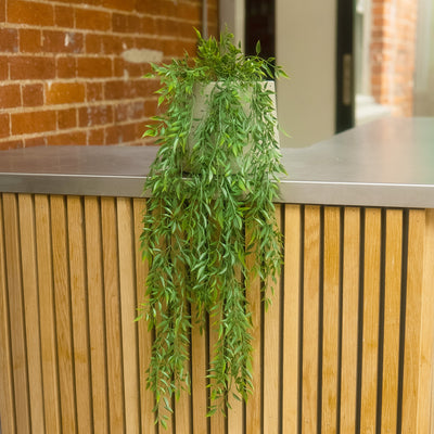 A green trailing houseplant in a light-colored pot, placed on a wooden slatted counter with a metal top in an indoor setting.