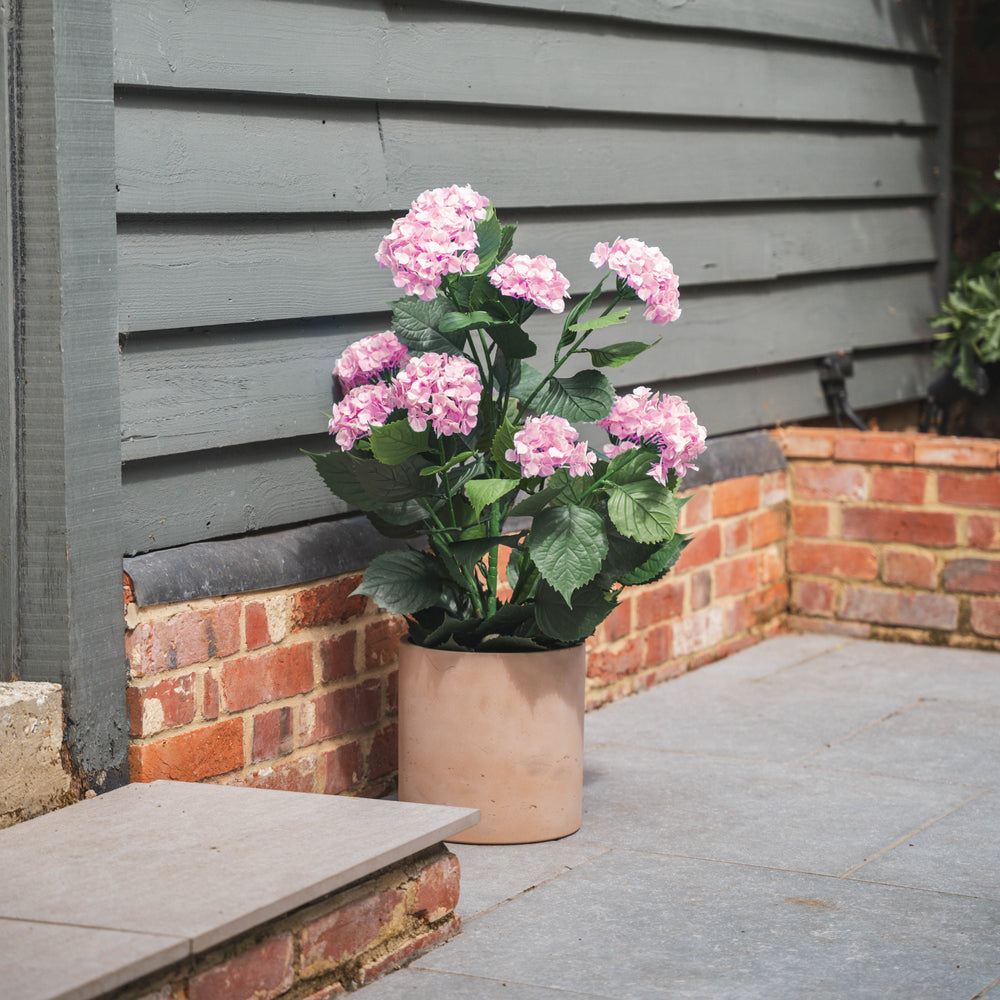Potted plant with pink flowers against a gray wall and brick foundation.
