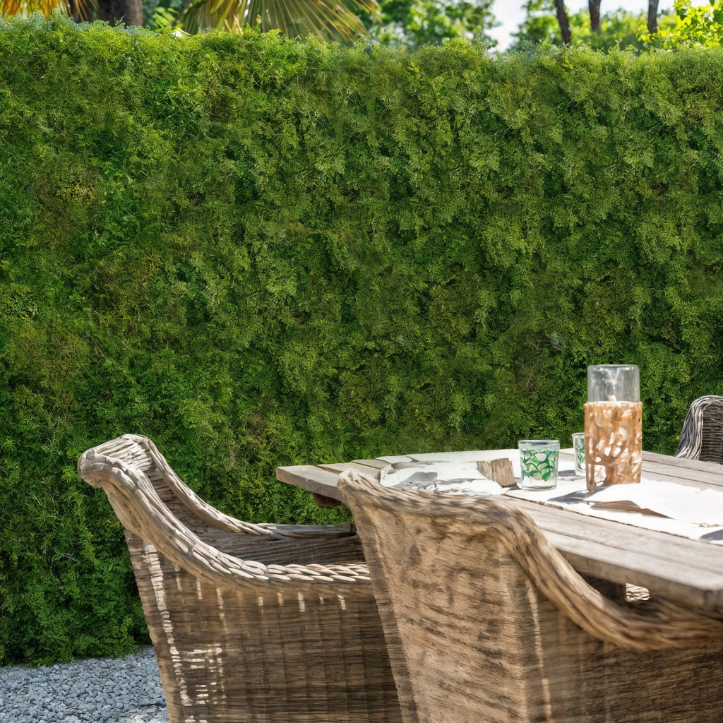 Outdoor dining setup with wooden table and chairs against a green wall.
