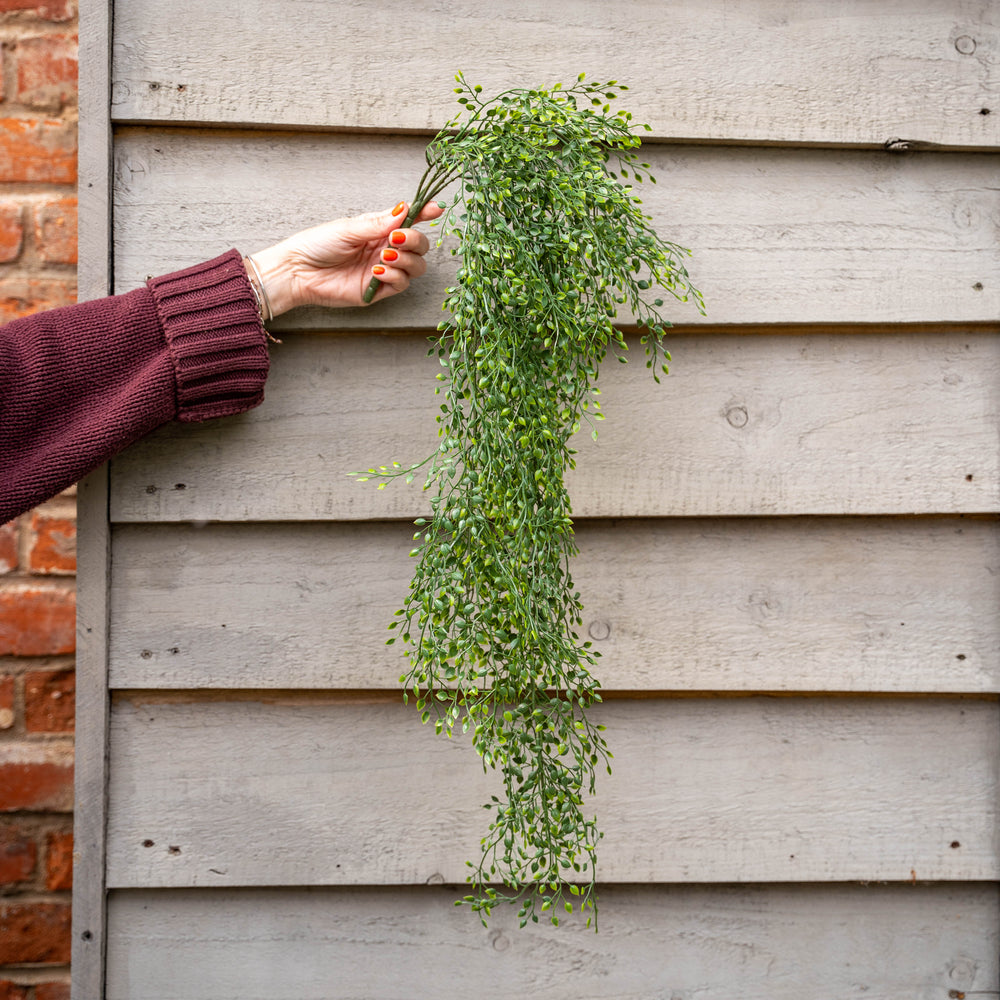 Person hanging a green plant against a wooden fence
