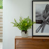 Potted fern on a wooden bureau with a framed picture in the background