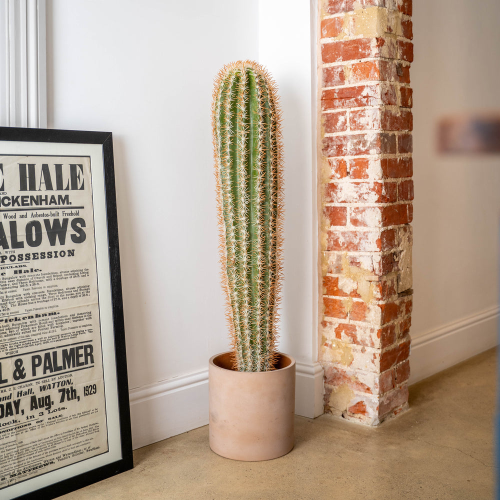 Cactus plant in a clay pot next to a framed newspaper against a brick wall.