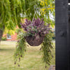 Hanging basket with purple and green plants attached to a wooden post in a garden setting
