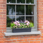 A rectangular black window box planter filled with pink and purple flowers and green foliage, displayed on a gray stone window sill of a red brick building.