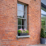 Brick building with a window box of green and purple flowers and foliage.