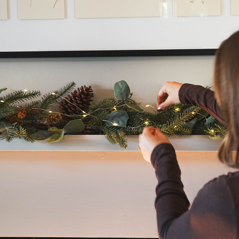 Mixed pine Christmas bundle