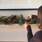 Mixed pine Christmas bundle