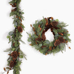 Mixed pine Christmas bundle