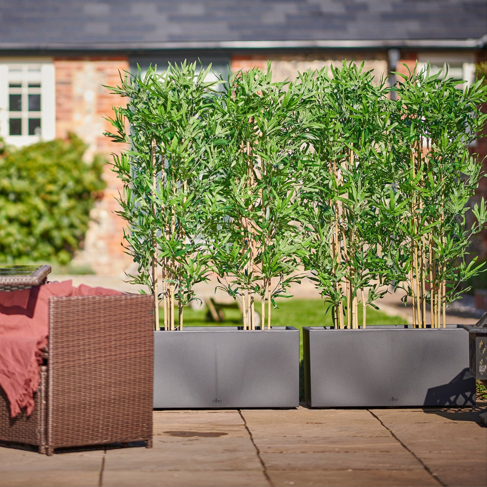 Outdoor patio setting with wicker furniture, plants, and a house in the background.