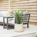 Outdoor patio with grey cushioned sofa, a small table, and a potted pandanus in a grey clay pot.