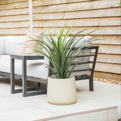 Outdoor patio with grey cushioned sofa, a small table, and a potted pandanus in a grey clay pot.