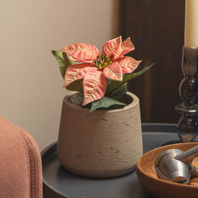 A cozy indoor scene with a small round gray side table holding a potted peach poinsettia, a tall candle and a wooden bowl of walnuts and nutcrackers.