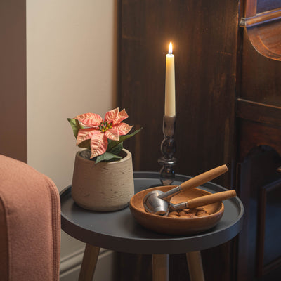 A cozy indoor scene with a small round gray side table holding a potted pink poinsettia, a tall lit candle and a wooden bowl of walnuts and nutcrackers. Part of a pink upholstered chair is visible at left, and a piano.