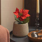 A cozy indoor scene with a small round gray side table holding a potted red poinsettia, a tall candle and a wooden bowl of walnuts and nutcrackers.