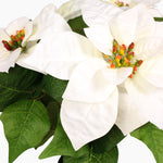White poinsettia artificial flowers with dark green leaves shown close up against a white background.