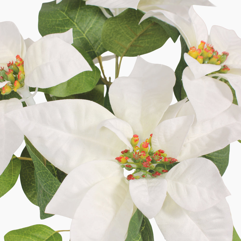 A close up of a white artificial poinsettia flowers with green leaves and small orange-red seed pods in the center.