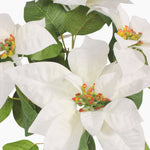 A close up of a white artificial poinsettia flowers with green leaves and small orange-red seed pods in the center.