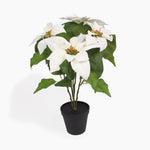 An artificial white poinsettia plant with green leaves and orange seed pods, potted in a black plastic nursery pot against a clean white background.