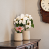 Two poinsettia plants on a dark wood piano, one small pink poinsettia and the other medium sized white poinsettia with a wooden clock in the background.