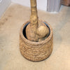 A potted plant with a thick textured trunk base, sat in a natural jute basket, shown on a beige concrete floor.