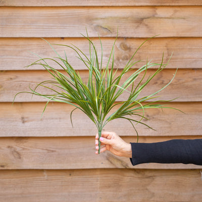 A hand wearing a black long-sleeve holds a small bunch of green artificial ornamental grass in front of a horizontal wooden fence.