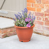 Plastic pot with colourful flowers on a patio next to a brick wall