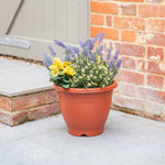 Plastic pot with colourful flowers on a patio next to a brick wall