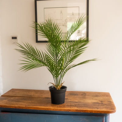 A potted artificial green palm plant in a black pot, displayed on a rustic wooden table against a white wall with a framed print.