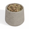 A small cylindrical concrete planter pot filled with pale green and brown moss, shown on a plain white background.