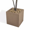 A square concrete planter in a warm taupe-brown color, containing a small tree with dark branches and pale green-brown moss, shown on a white background.