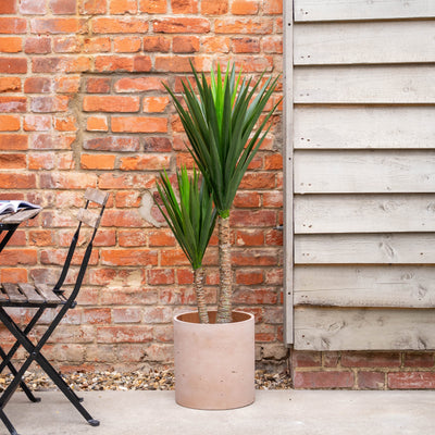 Potted yucca plant next to a brick wall and patio furniture.