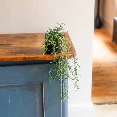 A small potted trailing green plant sits on the corner of a rustic blue-painted wooden cabinet body, set against a neutral indoor background.