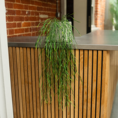 A green trailing houseplant in a light-colored pot, placed on a modern wooden slat counter with a metal top in an indoor setting with a brick wall background.