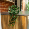 A green ivy plant with trailing vines draped over a modern wooden slat counter with a stainless steel top, set against a brick wall background.