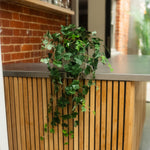 A green ivy plant with trailing vines draped over a modern wooden slat counter with a stainless steel top, set against a brick wall background.