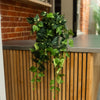 A green trailing houseplant with variegated leaves draped over the edge of a modern wooden slat counter in front of a brick wall.