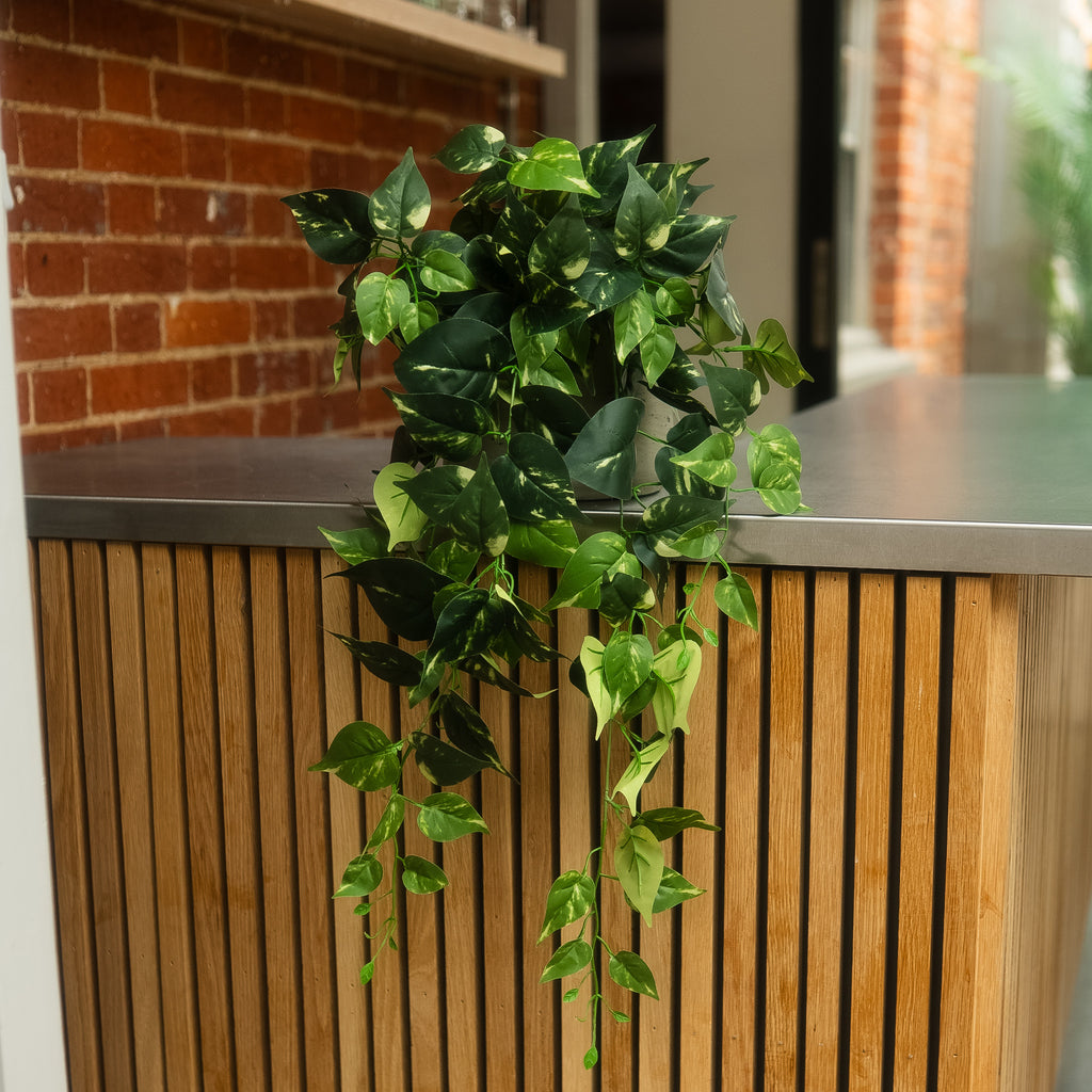 A green trailing houseplant with variegated leaves draped over the edge of a modern wooden slat counter in front of a brick wall.