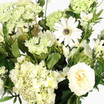 A close-up of a white and cream floral arrangement with green foliage on a white background.