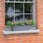 Window box with colourful flowers on a brick wall