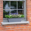 Window box with flowers on a brick wall