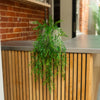 A green trailing artificial plant in a clear glass pot, styled on the edge of a modern wooden slat counter with a metal top.