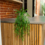A green trailing artificial plant in a clear glass pot, styled on the edge of a modern wooden slat counter with a metal top.