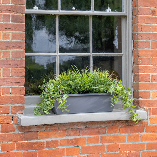 Window with a plant box on a brick wall