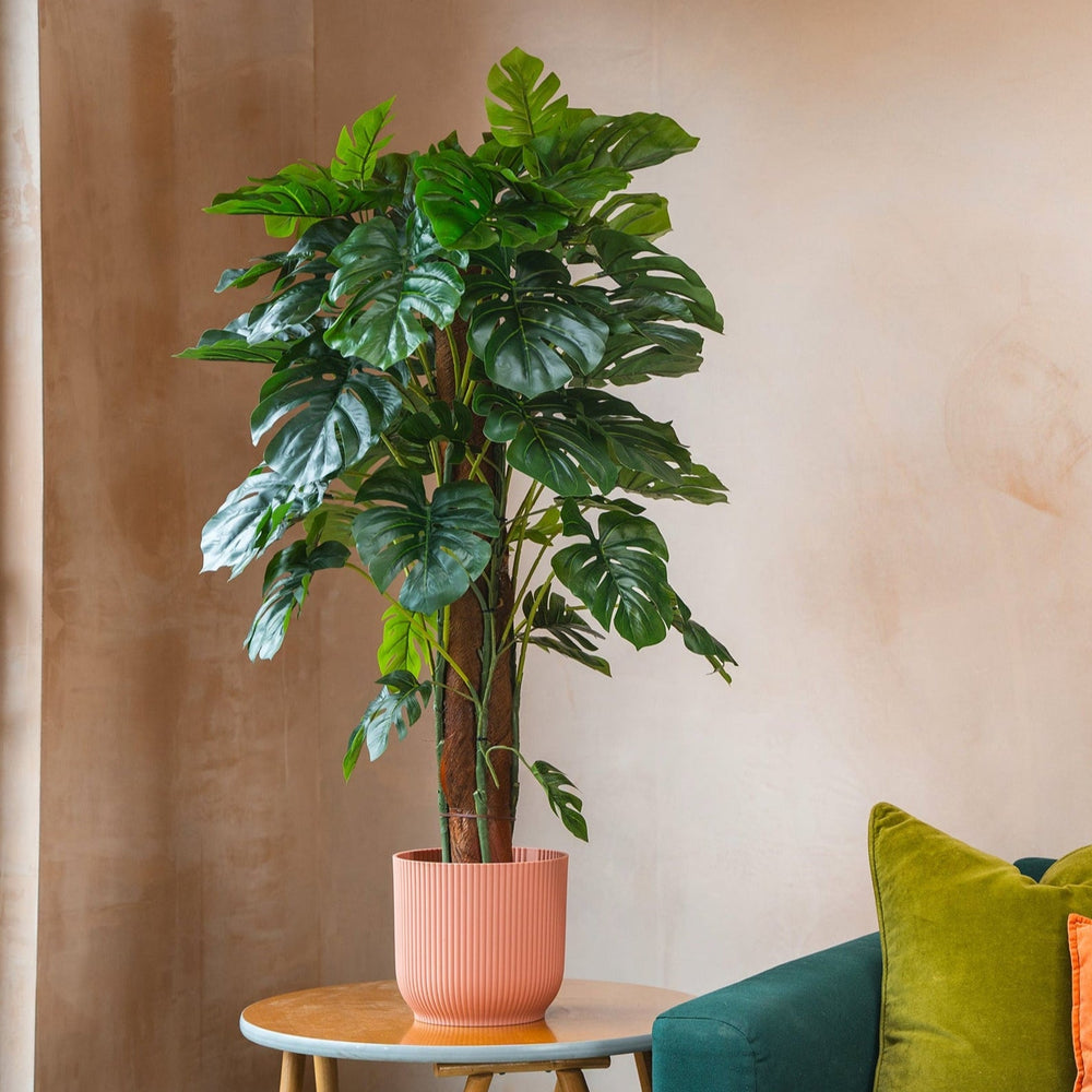 Green plant in a pot on a small table next to a teal sofa with colorful cushions against a beige wall.