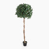 Artificial topiary tree with a twisted trunk on a white background