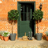 Green door with plants and boots on a brick wall