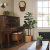 Vintage wooden piano in a room with a large plant and a window.
