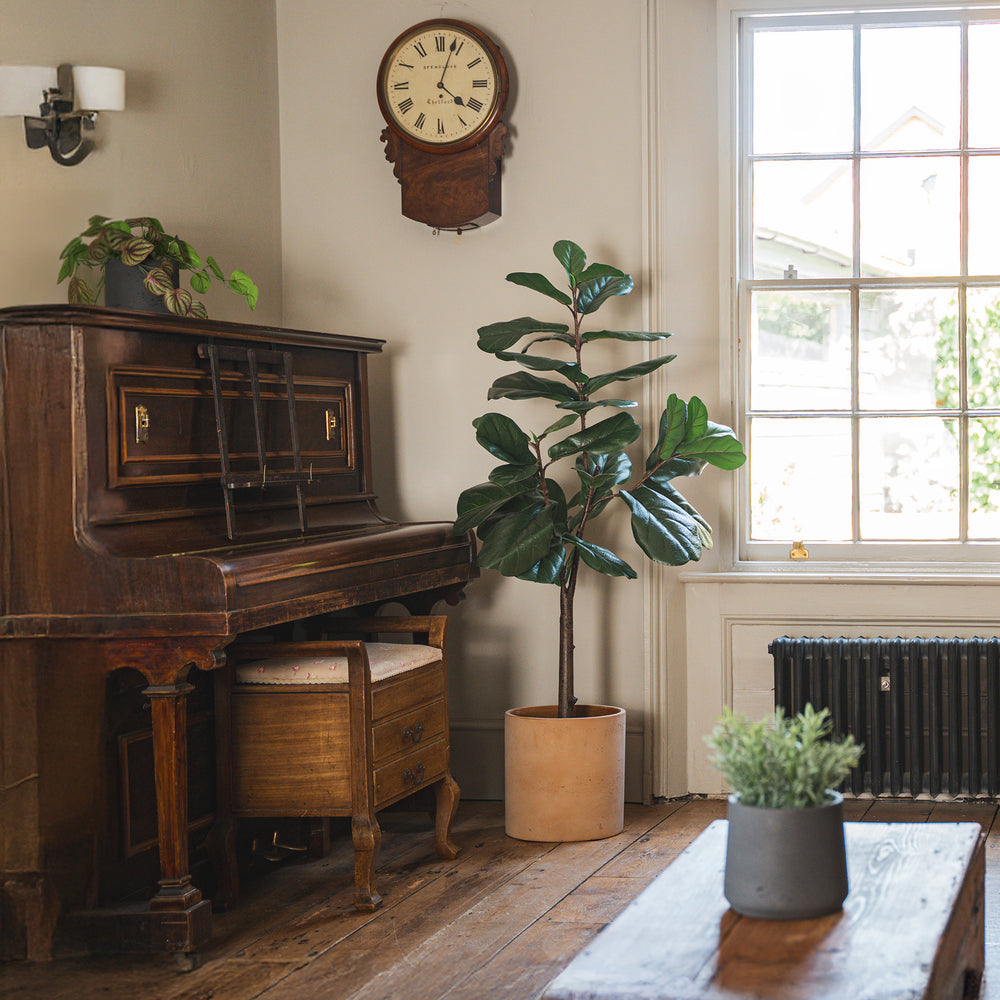 Vintage wooden piano in a room with a large plant and a window.