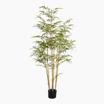 Artificial bamboo plant in a pot on a white background